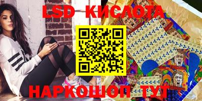 твердый Камышлов