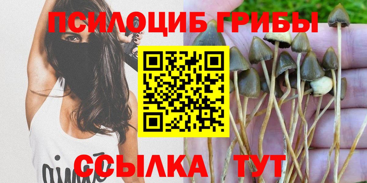 Галлюциногенные грибы Magic Shrooms Кызыл