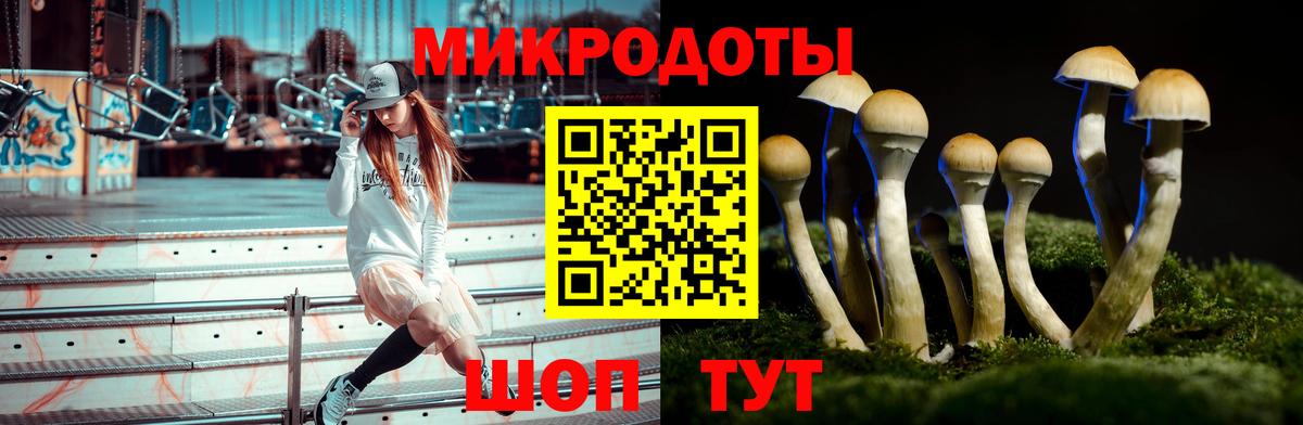 Кызыл  Псилоцибиновые грибы прущие грибы  как найти закладки  Вход с VPN 